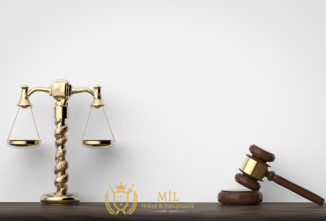 İdari İşleme Karşı Üst Makama Başvuru İYUK 11